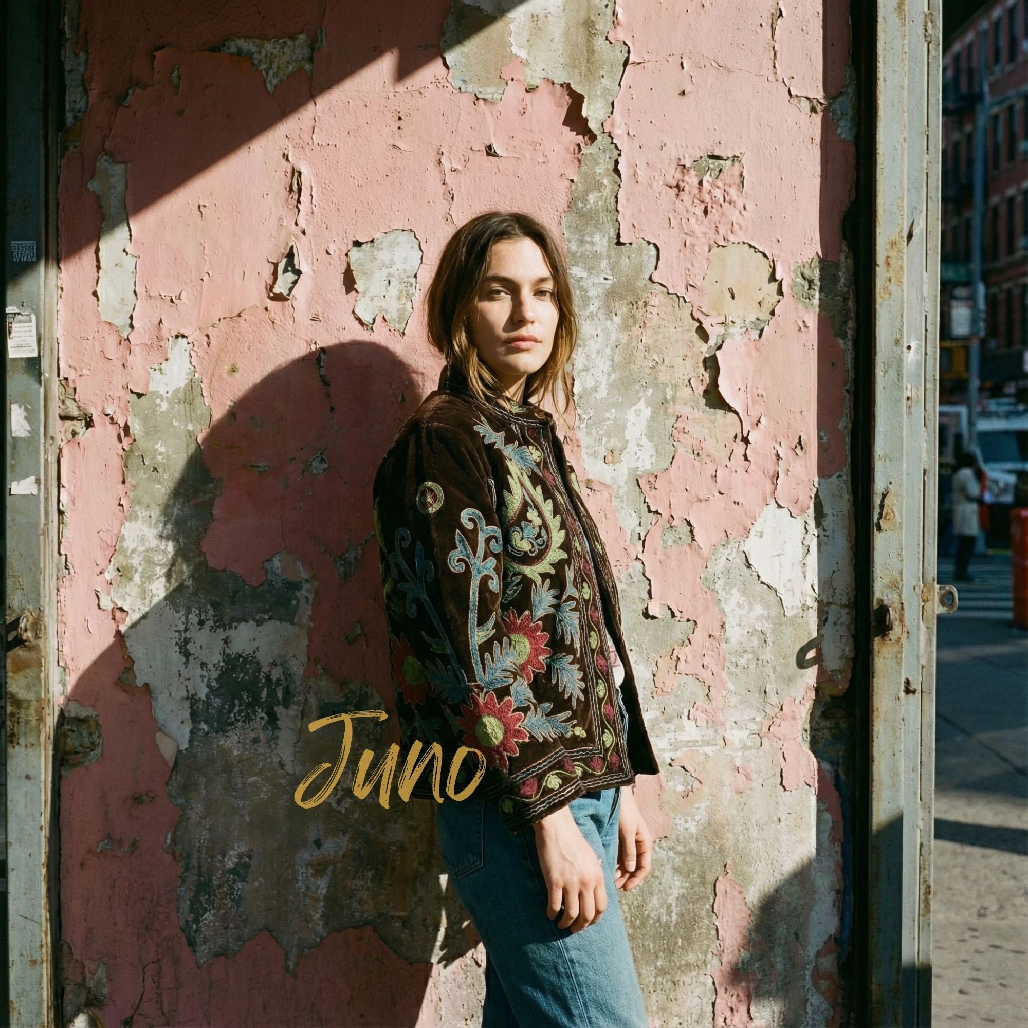 Dark Brown Velvet Jacket